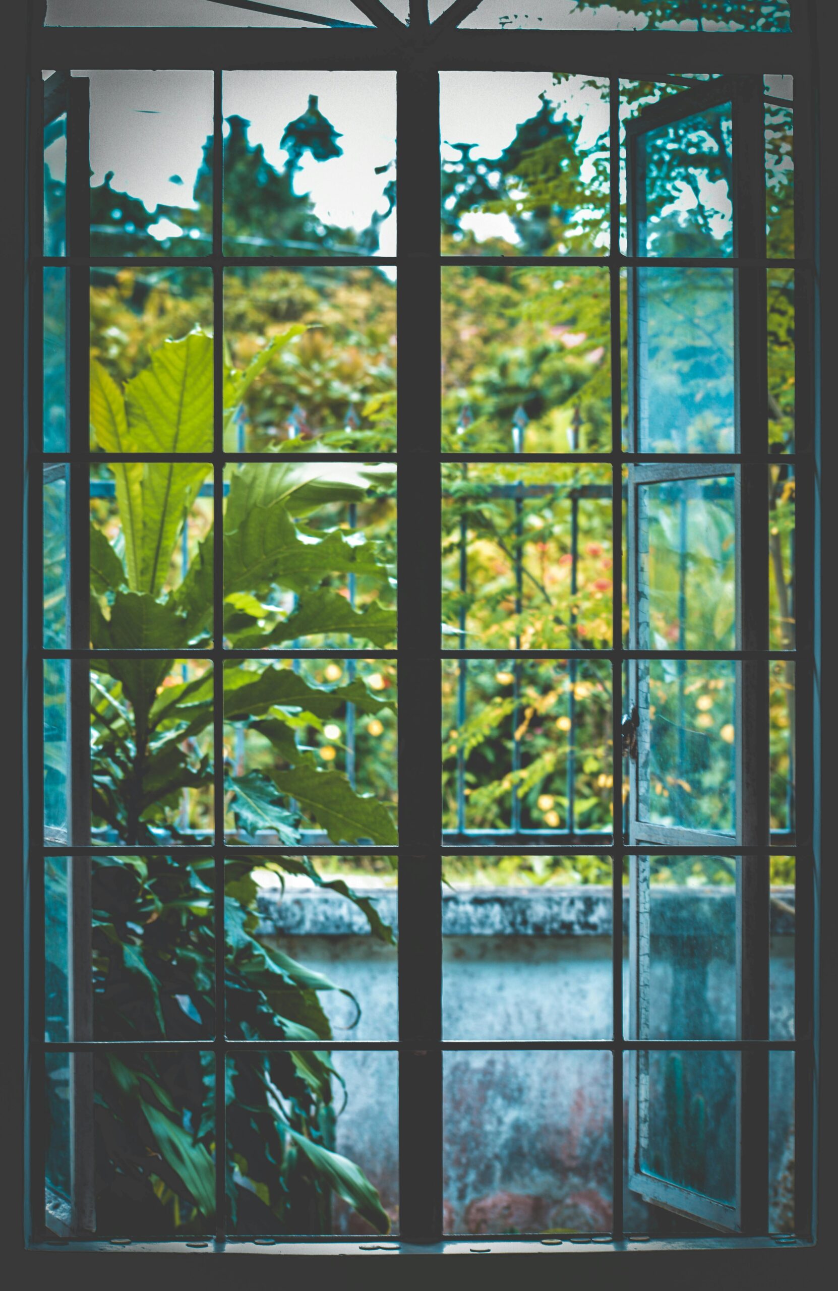 Lush garden seen through a metal-framed window with reflections and greenery.